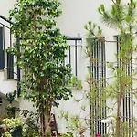 Bonito Apartamento Junto Al Gran Teatro Falla