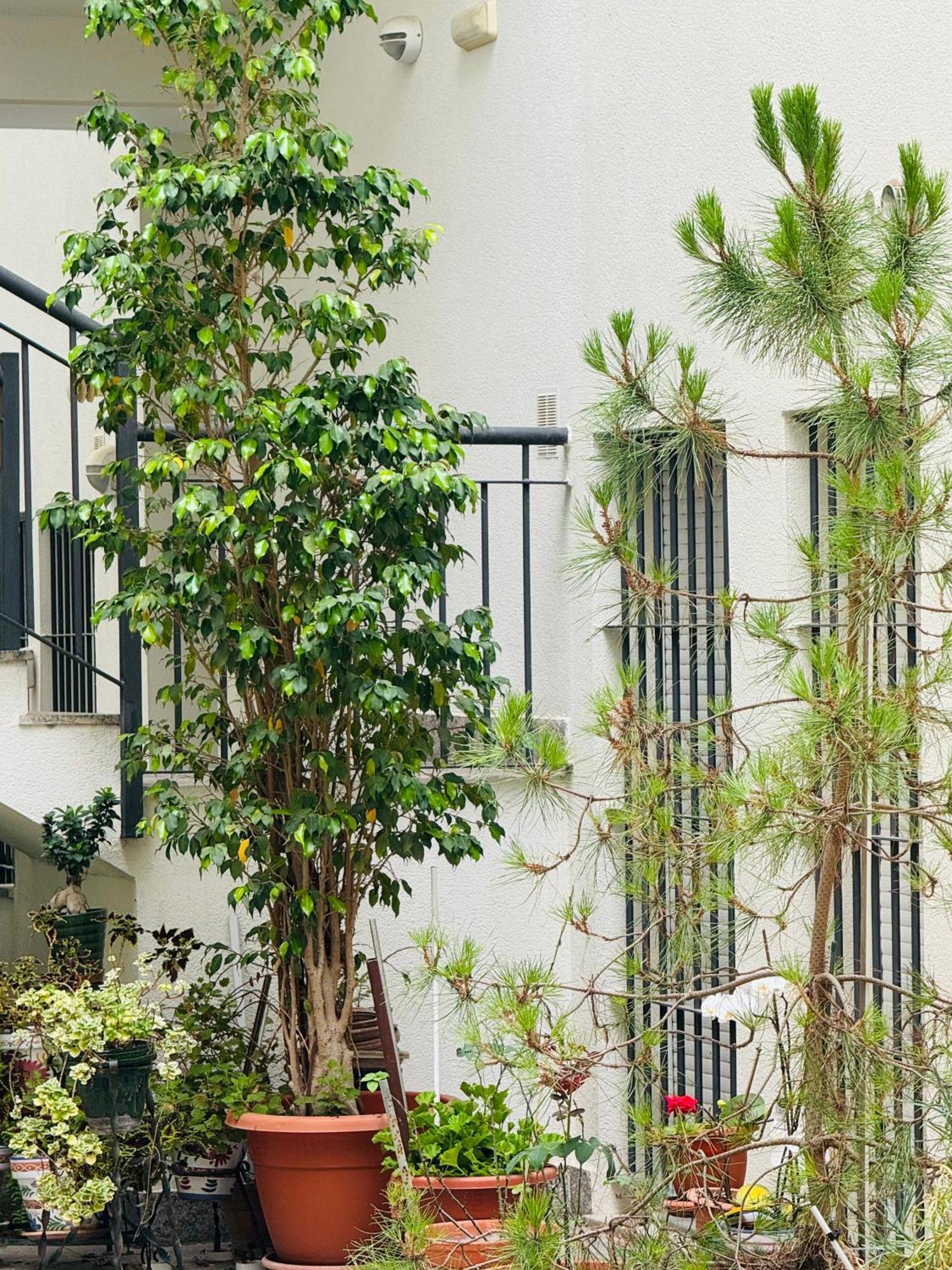 Apartment Bonito Junto Al Gran Teatro Falla